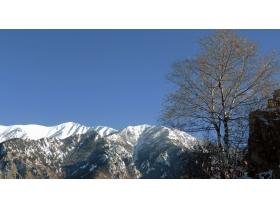 photo coins arrondis